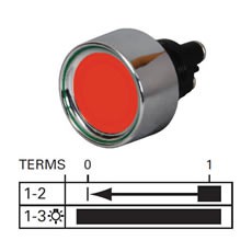 Momentary On - Single Pole - 20A at 12V