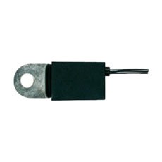 Interference Capacitor - 110V