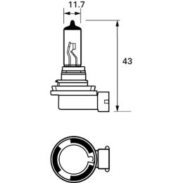 H9 LED Bulb 12V White PGJ19